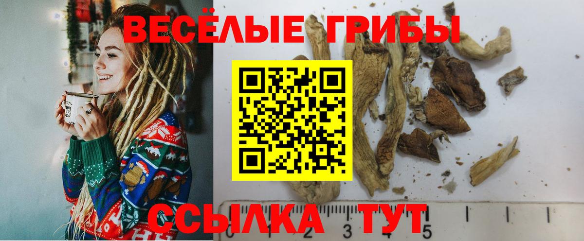 Псилоцибиновые грибы MAGIC MUSHROOMS Тельмана
