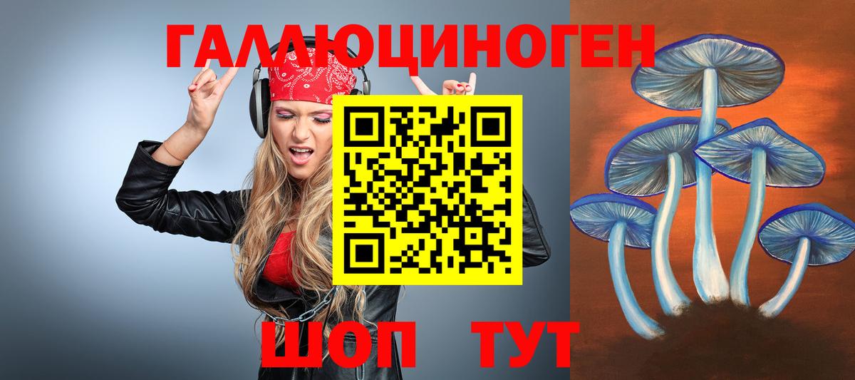 Псилоцибиновые грибы Psilocybine cubensis  Вход с VPN  Тельмана  Галлюциногенные грибы Psilocybe 
